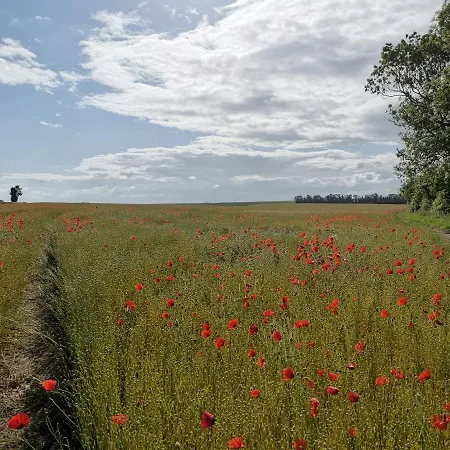 Parfum D'angkor Colleville-Montgomery