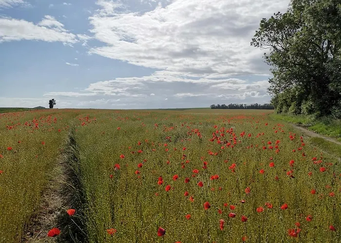 Parfum D'angkor Colleville-Montgomery